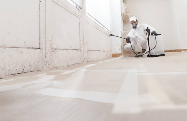 24/7 Emergency Basement Mold Remediation experts in Barrington, NJ