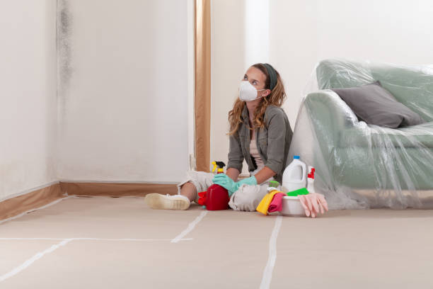 Reliable Basement Mold Remediation contractor in Barrington, NJ by 24 Hour Mold Removal